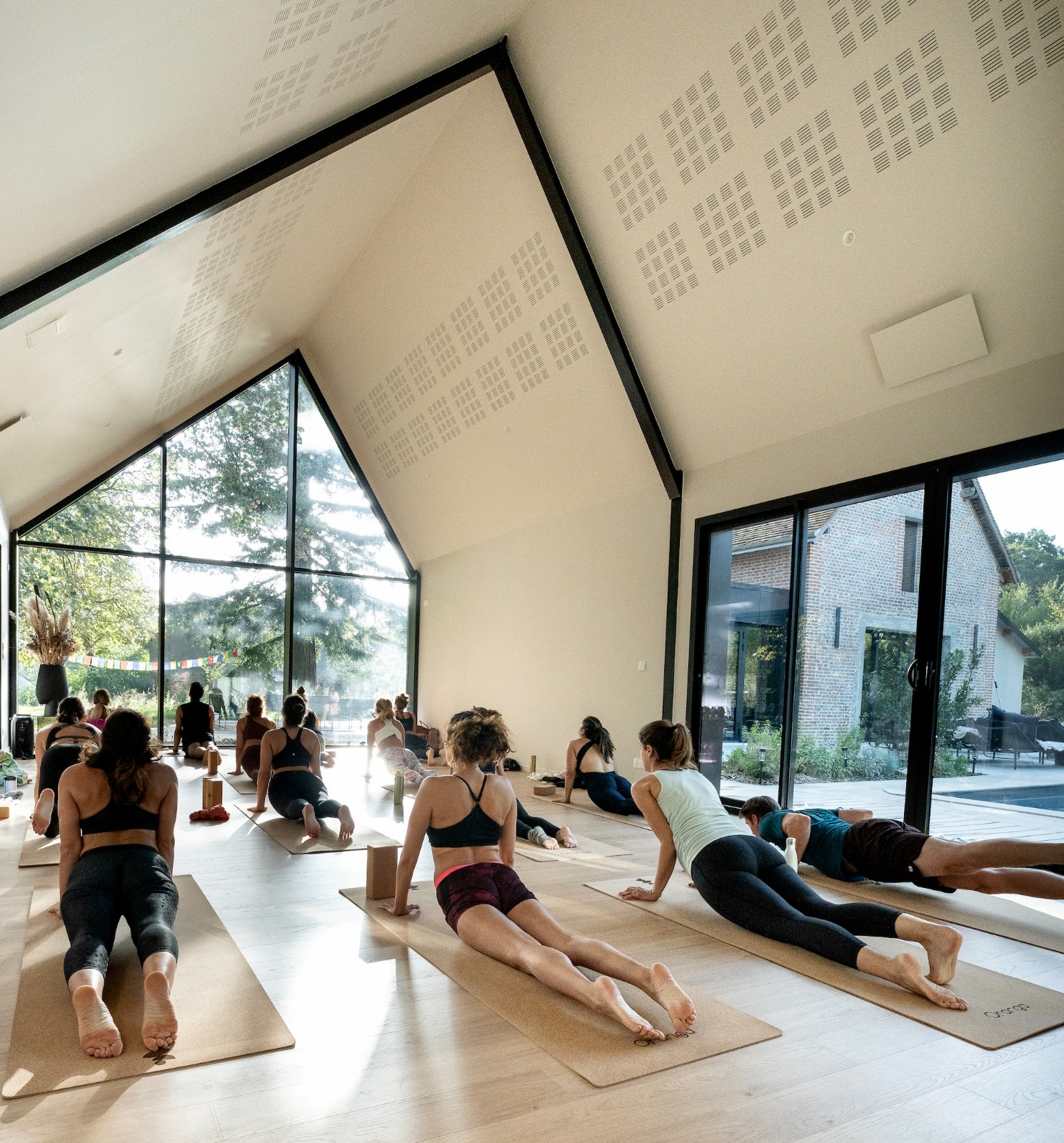 Oranga practicing yoga